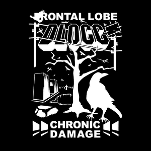 ​frontal lobe chronic damage - HEWRA