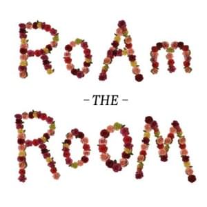 Roam the Room - Citizen