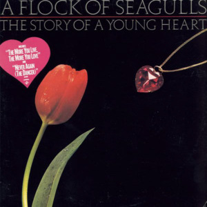 Remember David - A Flock of Seagulls