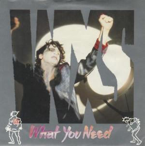 What You Need - INXS