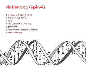 Stem uit de groef - Vinkenoog / Spinvis Combo