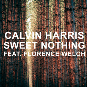 Sweet Nothing (Extended) - Calvin Harris (Ft. Florence Welch)