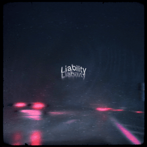 Liability - SWIM (whoisswim)