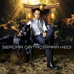 Üzgünüm - Serdar Ortaç