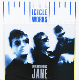 Understanding Jane - The Icicle Works