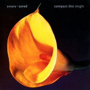 Saved - Swans