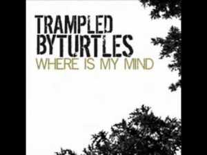 Where Is My Mind? - Trampled by Turtles