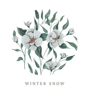 Winter Snow - Audrey Assad (Ft. Chris Tomlin)