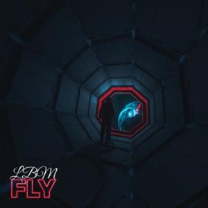 Fly - LBM