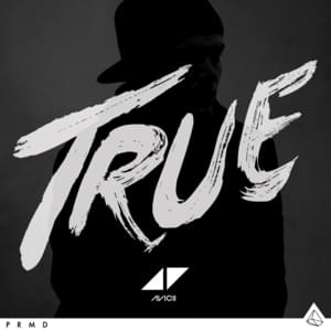 Canyons (Vocal Mix) - Avicii