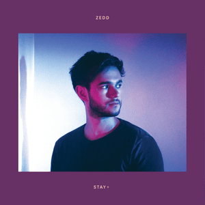 Zedd Mega Nonstop Mix - Zedd