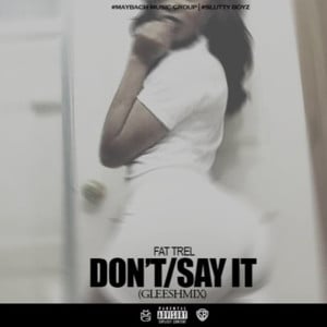 Say It / Don’t - Fat Trel