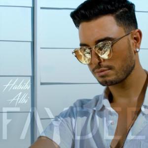 Habibi Albi - Faydee (Ft. Leftside)