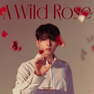 RYEOWOOK (려욱) - Angel’s Wing (中文翻譯 – Traditional) - Lyrxo Chinese Translations (中文翻譯/中文翻译)