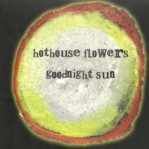 Ar Bhruach Na Laoi - Hothouse Flowers