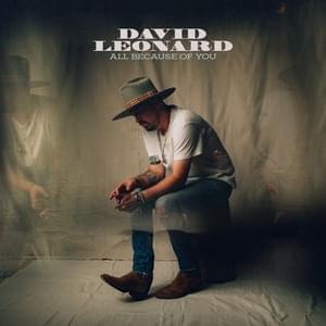 All Because of You - David Leonard