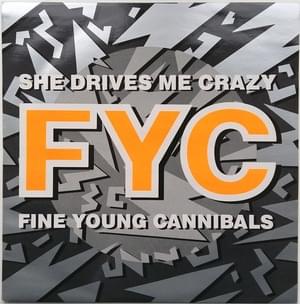 She Drives Me Crazy (David Z 12" version) - Fine Young Cannibals