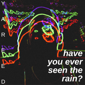 Have You Even Seen The Rain? - YAREED