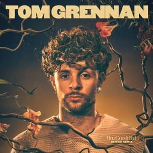 How Does It Feel (ALTÉGO Remix) - Tom Grennan