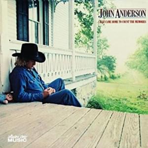 Don’t Think Twice, It’s Alright - John Anderson