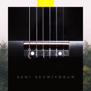 Seni Sevmiyorum - Patron