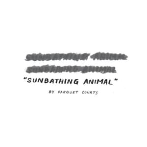 Sunbathing Animal - Parquet Courts