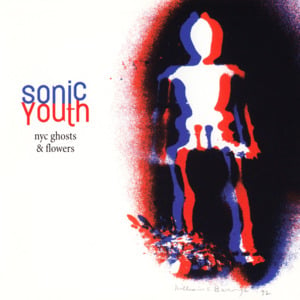 NYC Ghosts & Flowers - Sonic Youth