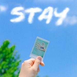 STAY - HOSHI (호시)