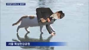 꽁꽁 얼어붙은 한강 위로 도냥이가 걸어다닙니다 (A cat walks on the frozen Han River) - News Reporter from MBN