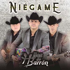 Niégame - Hijos De Barrón