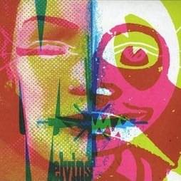 Homosexuality Song - Melvins
