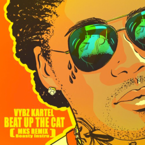 Beat up the Cat (MKS Remix Boasty Instru) - Vybz Kartel