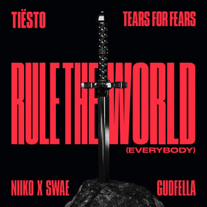 Rule The World (Everybody) - Tiësto, Tears For Fears, NIIKO X SWAE & GUDFELLA