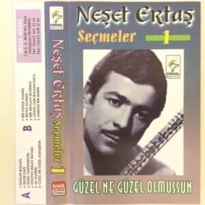 Gönül Yari Bulamayınca (Olamam) - Neşet Ertaş