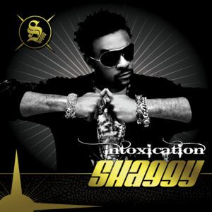 Reggae Vibes - Shaggy