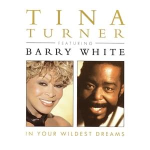 In Your Wildest Dreams (Version) - Tina Turner (Ft. Barry White)