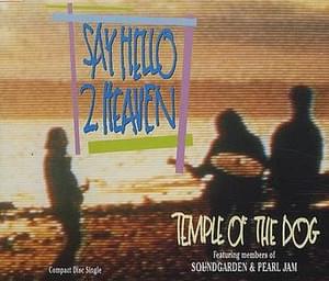 Say Hello 2 Heaven - Temple of the Dog