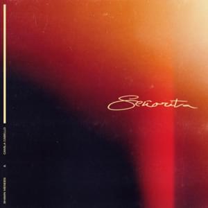 Shawn Mendes & Camila Cabello - Señorita (Nederlandse Vertaling) - Lyrxo Nederlandse Vertalingen