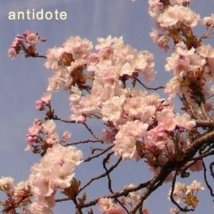 Antidote - Orion Sun