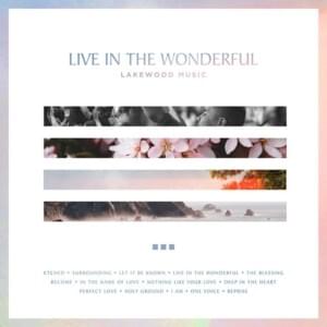 Live in the Wonderful - Lakewood Music