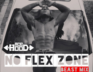 No Flex Zone (Freestyle) - Ace Hood