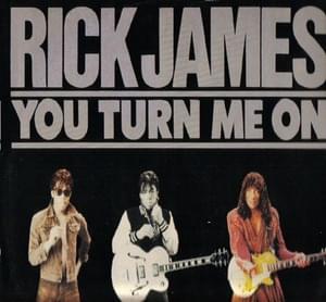 You Turn Me On - Rick James