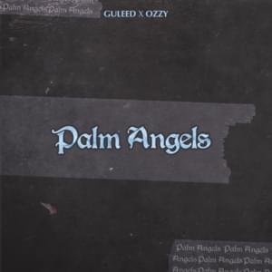 Palm Angels - GULEED & Ozzy