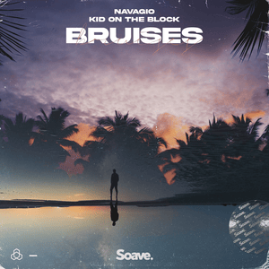 Bruises - Navagio & Kid On The Block