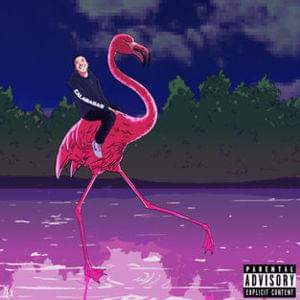 Flamingo - Token