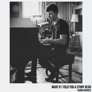 What If I Told You a Story - Shawn Mendes