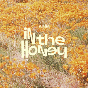 In the Honey - Wafia