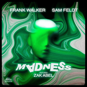 Madness - Frank Walker & Sam Feldt (Ft. Zak Abel)