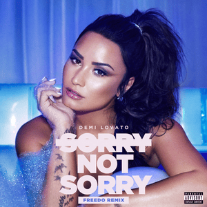 Sorry Not Sorry (Freedo Remix) - Demi Lovato