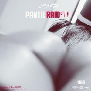 PantiE Raid Pt. II - Joey Bada$$